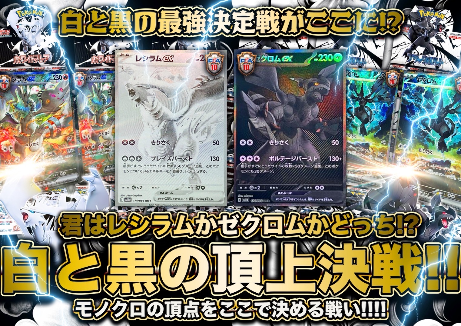 ゼクロムVSレシラムオリパ